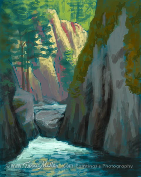 Lower Englishman River Falls: iPad painting. CLICK HERE TO PURCHASE PRINTS.